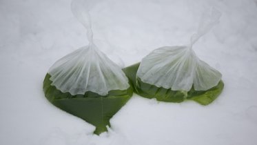 Фото: В пруд за «Адонисом» запустили водоросли