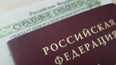 Фото: На мусорнике обнаружили паспорт и СНИЛС череповчанки