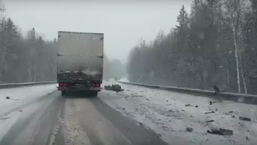 Фото: Череповчанка погибла на трассе в Ленобласти