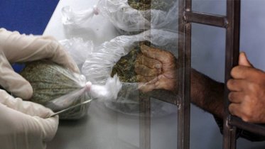 Фото: Шестеро наркоторговцев попали под суд в Череповце