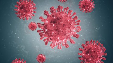 Фото: Количество череповчан, госпитализированных с коронавирусом, растет