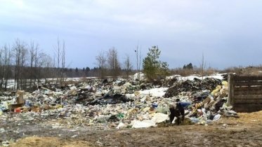 Фото: Со свалкой на Кирилловском шоссе борются в Череповце