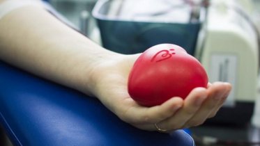 Фото: Донорскую кровь в Череповце проверят роботы
