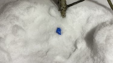 Фото: 36-летнего наркосбытчика задержали в Череповце