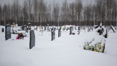 Фото: Услугу по уборке захоронений могут предоставить в Череповце