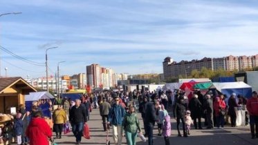 Фото: Сельхозярмарка пройдет в субботу в Зашекснинском районе