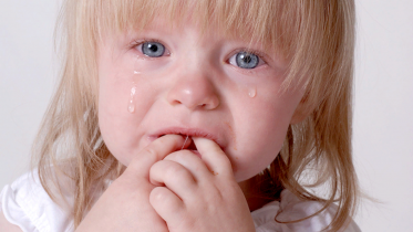 Фото: Череповчанин решил отомстить соседу детским плачем