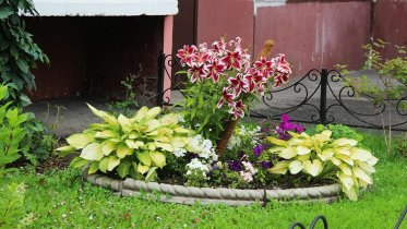 Фото: Череповчанам предлагают записаться в школу ландшафтного дизайна