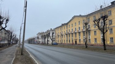 Фото: Взрослые липы появятся на Сталеваров