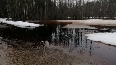 Фото: В Череповецком районе отремонтированная недавно дорога уходит под воду