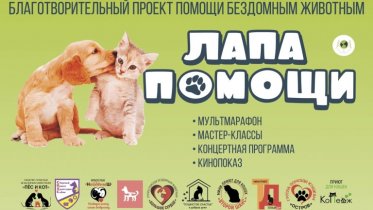 Фото: Протянуть «Лапу помощи» бездомным животным смогут череповчане 8 апреля