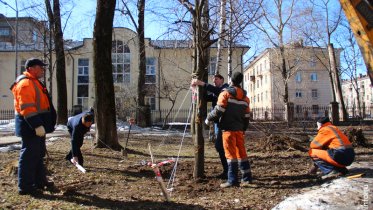 Фото: Деревья с улицы Сталеваров отправились в сквер