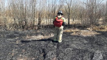 Фото: Сухая трава загорелась под Череповцом