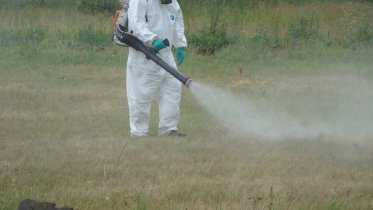 Фото: В конце апреля Череповец начнут обрабатывать от клещей