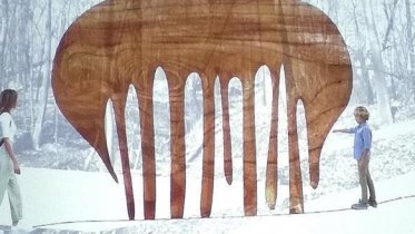 Фото: Арт-объект в форме расчески установят в Череповце