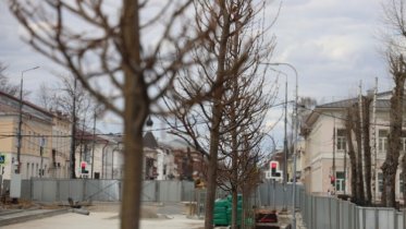 Фото: Советский проспект в Череповце начали озеленять