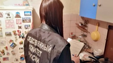 Фото: В Череповце женщина в пьяном угаре зарезала гостя