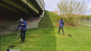 Фото: В Череповце стартовал сезон покоса травы