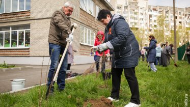 Фото: Аллея из сирени появилась у детского сада № 126