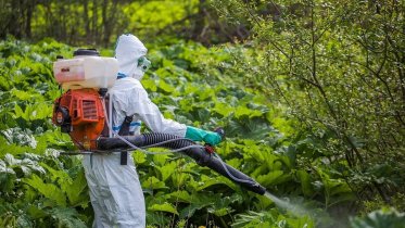 Фото: Череповчан предупредили о начале обработки территорий от клещей и борщевика