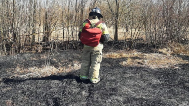 Фото: В Череповецком районе зафиксирован крупный пал травы