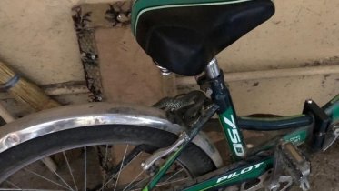 Фото: В череповецком подъезде видели ужа