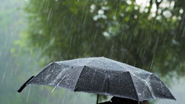 Фото: Череповчанам обещают прохладные выходные