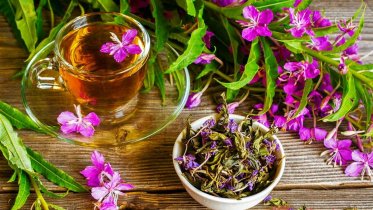 Фото: Владимир Путин насладился иван-чаем