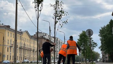 Фото: Финальный этап рекультивации газона на участке улицы Сталеваров от Металлургов до Ленина стартовал в Череповце