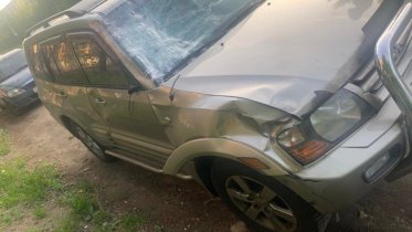 Фото: Под Череповцом произошла авария с лосем: травмирована женщина