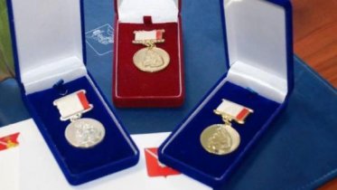 Фото: Череповчанка, воспитавшая 10 детей, получила Медаль материнства