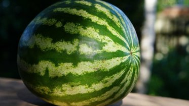 Фото: С местами для продажи арбузов и дынь определились в Череповце