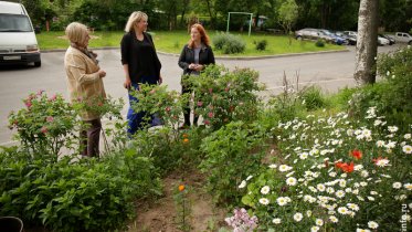 Фото: В Заречье определят самый чистый двор