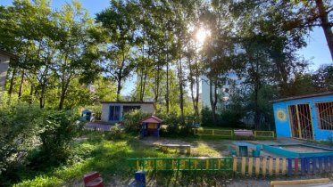 Фото: В череповецких детсадах ликвидируют опасные ветки