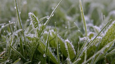 Фото: Новый «морозный рекорд» был зафиксирован в Череповце