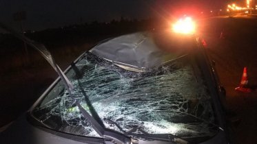 Фото: На трассе А-114 произошло смертельное ДТП