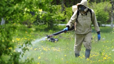 Фото: Скверы и пляжи Череповца снова обработают от клещей