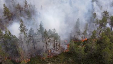 Фото: Об угрозе природных пожаров предупредили жителей Череповецкого района