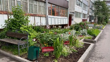 Фото: В Череповце стартовал новый проект