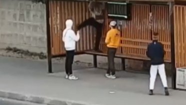 Фото: Подростки, сломавшие в Череповце табло, стали фигурантами уголовного дела