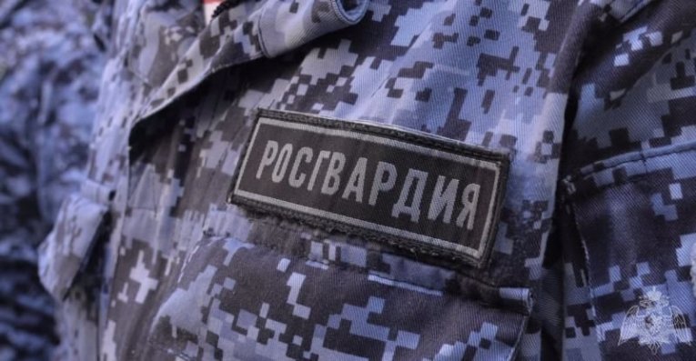 Фото: Сотрудники Росгвардии задержали 24 правонарушителя за неделю в Вологодской области