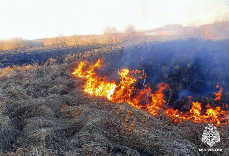 Фото: В Вологодской области зарегистрирован первый случай возгорания сухой травы