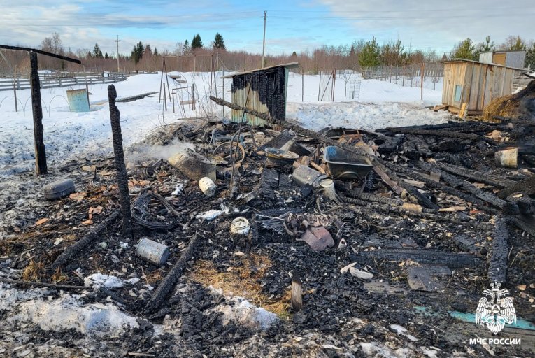 Фото: Гуси и куры погибли на пожаре в Великоустюгском округе