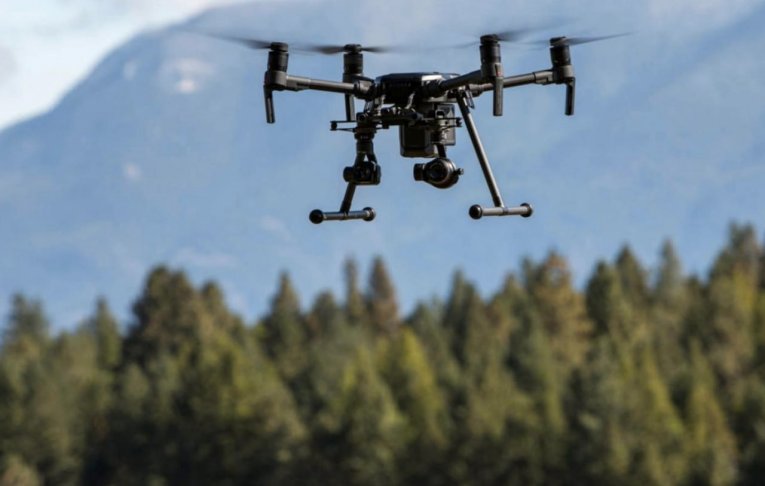 Фото: Вологодская область оснащает лесную охрану современными беспилотниками