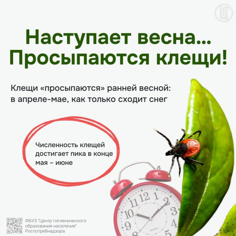 Фото: Раннее пробуждение клещей: первая жертва сезона в Вологодской области