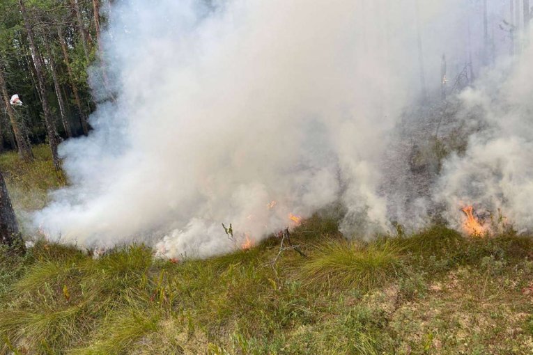 Фото: Вологодская область готова к раннему пожароопасному сезону