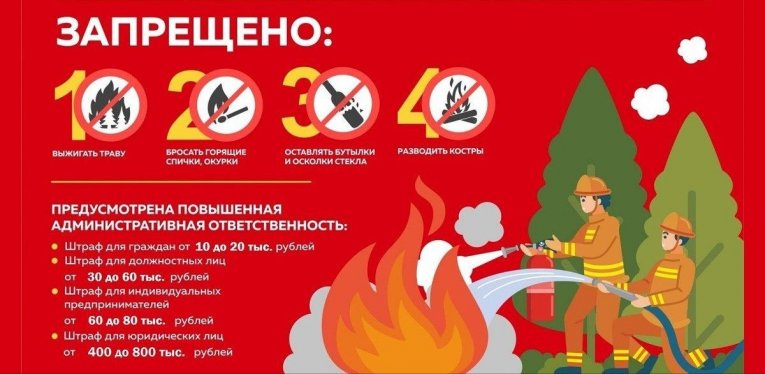 Фото: Особый противопожарный режим введут в Вологодской области с 31 марта