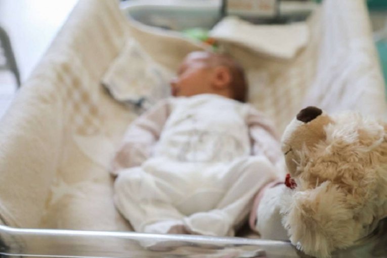 Фото: Вологодская область расширяет поддержку семей с новорожденными