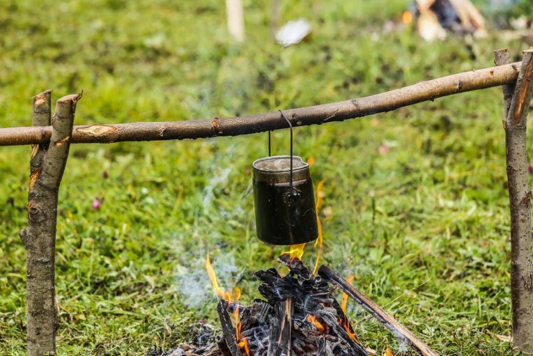Фото: В Вологодской области 31 марта введут  особый противопожарный режим