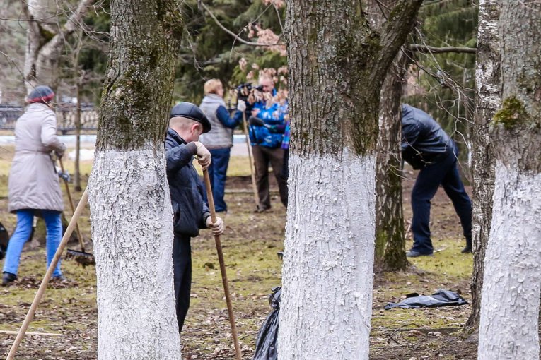 Фото: Вологодская область готовится к масштабной весенней уборке